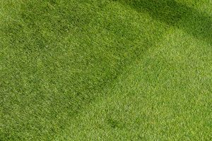 Do I need to aerate my lawn?