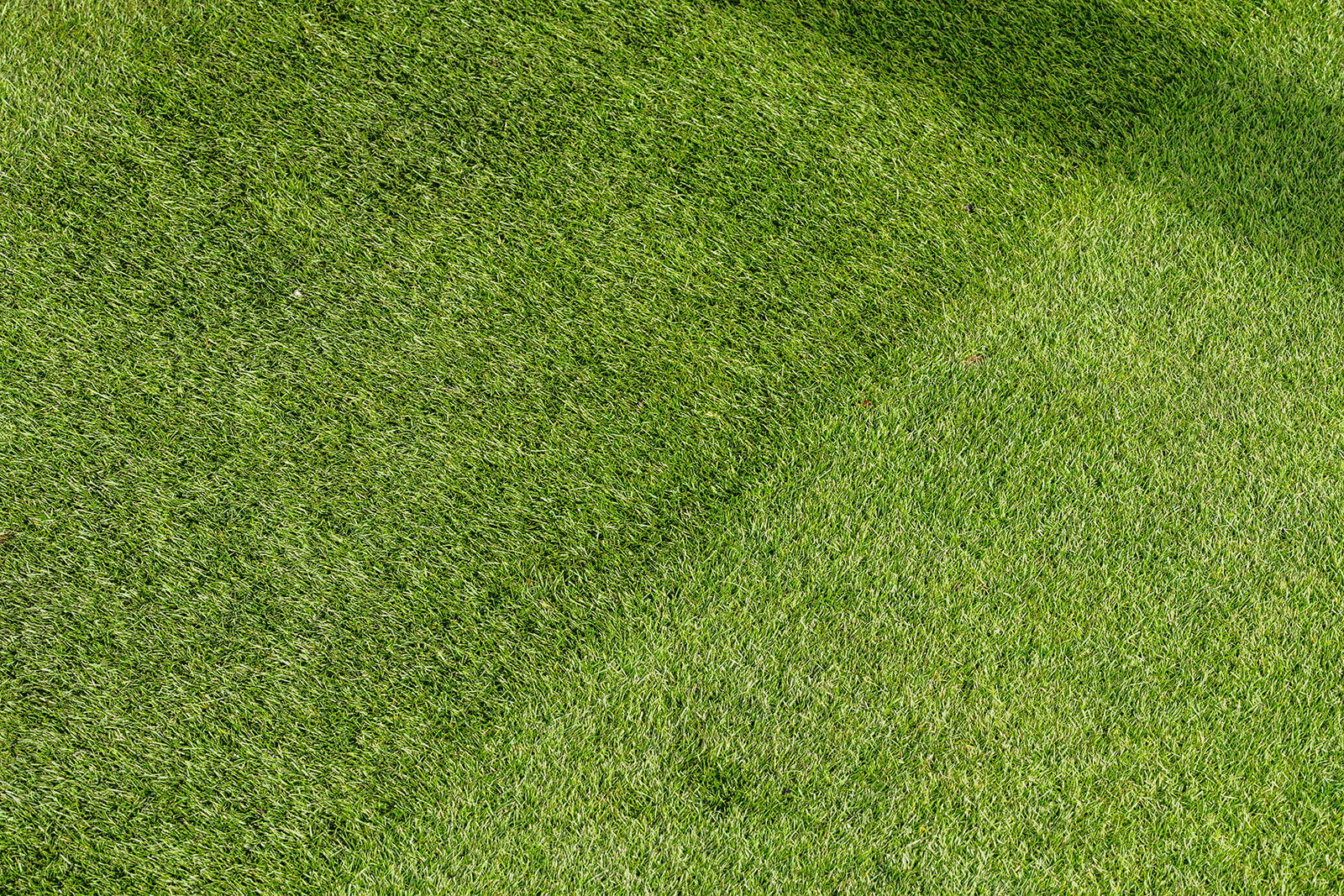 Do I need to aerate my lawn?